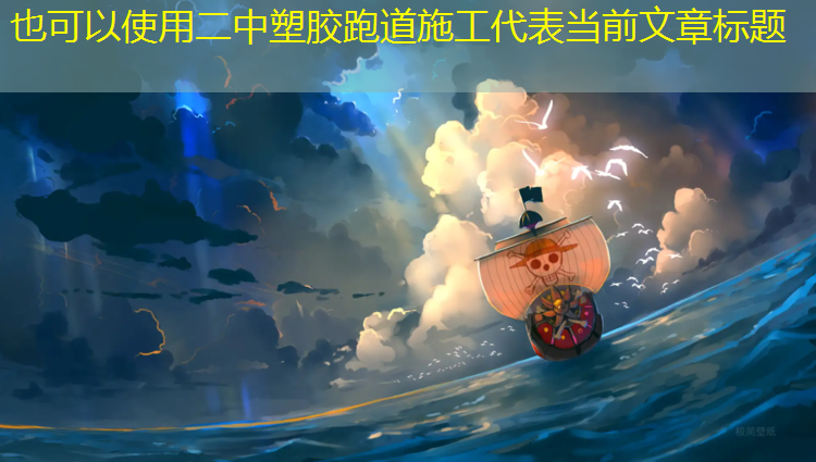 二中塑胶跑道施工