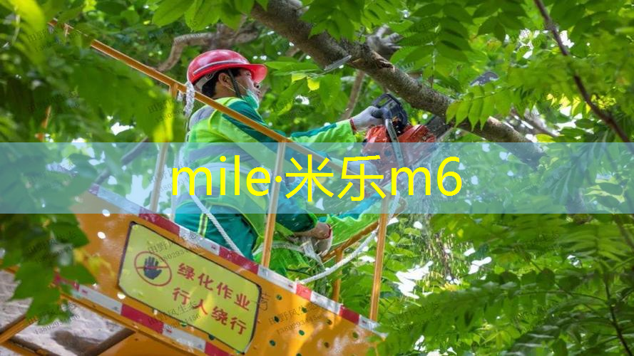 米乐m6官网登录入口：网球拍上的细线叫什么