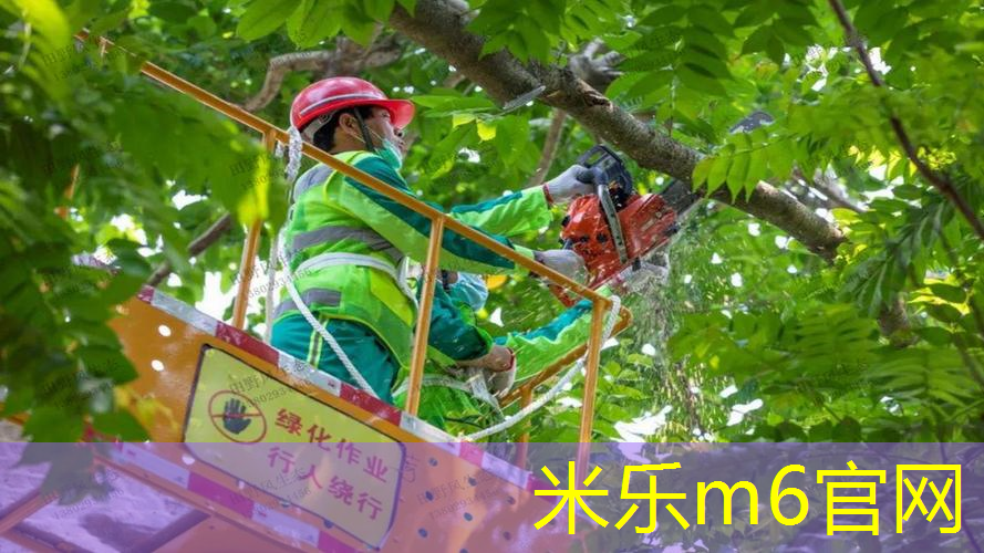 米乐m6官网登录入口：正确的那羽毛网球拍的姿势