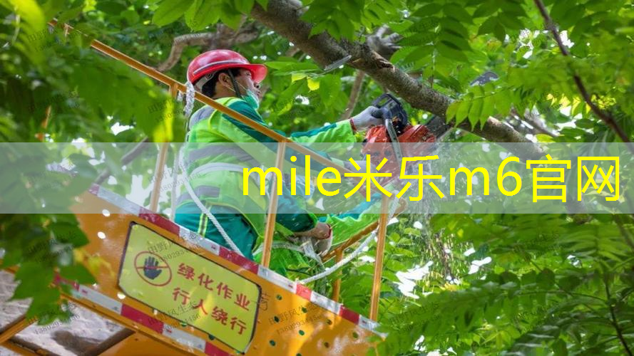 米乐m6官网：怎么根据自己的手选网球拍