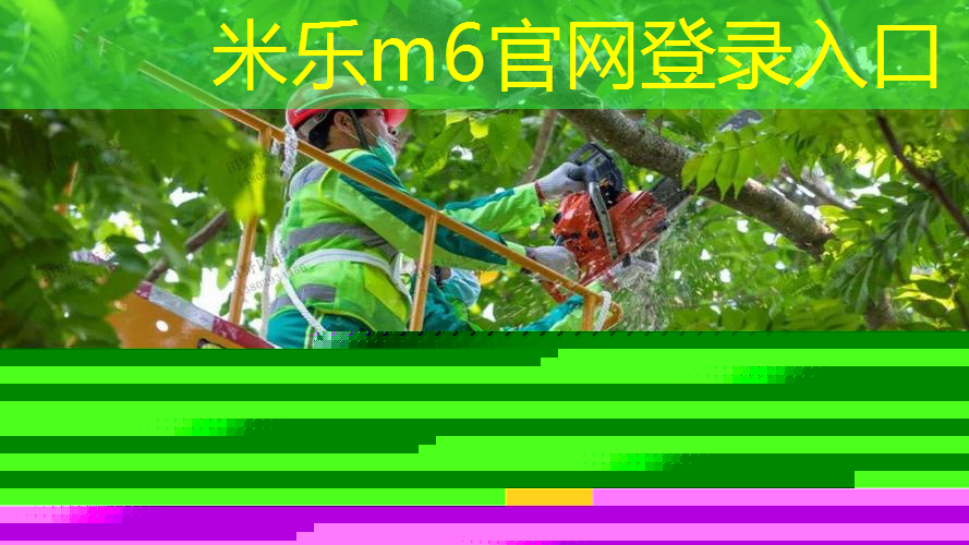 mile·米乐m6：奥星网球拍价格表