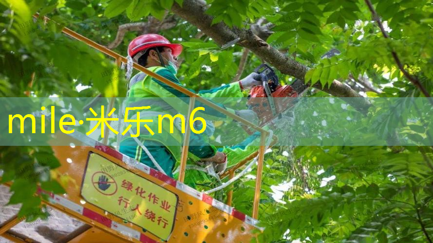 mile米乐m6官网：网球拍手柄脏用什么清洁
