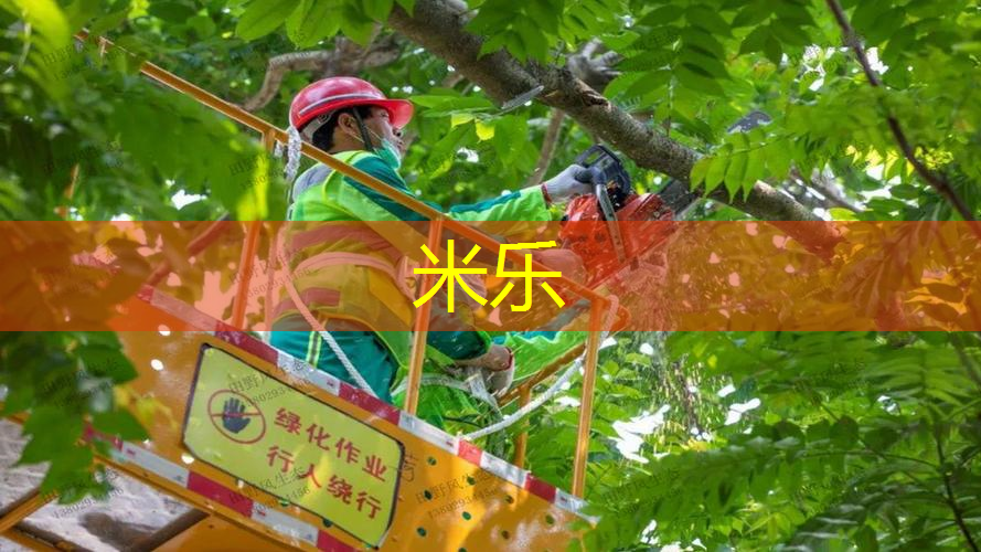 米乐m6官网登录入口：迪卡侬249网球拍