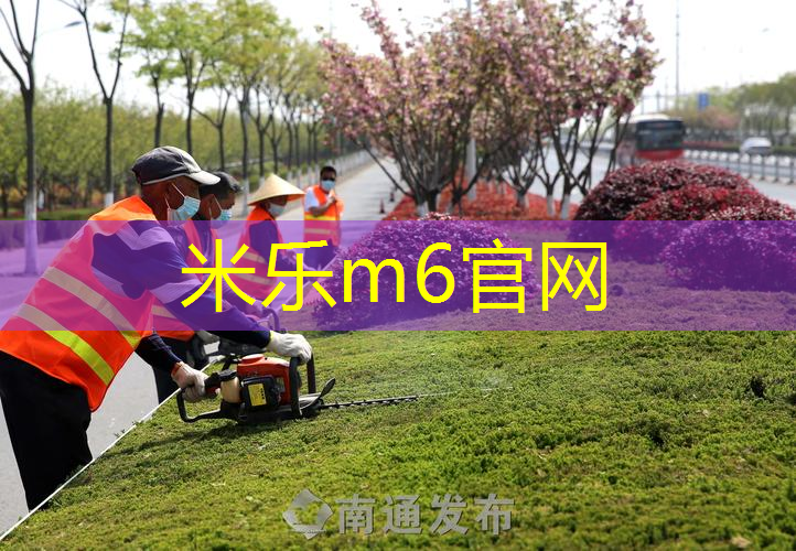 家庭普通玩的网球拍有哪些