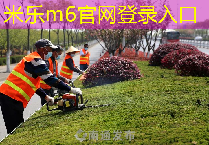 哪种材质的网球拍好用耐打