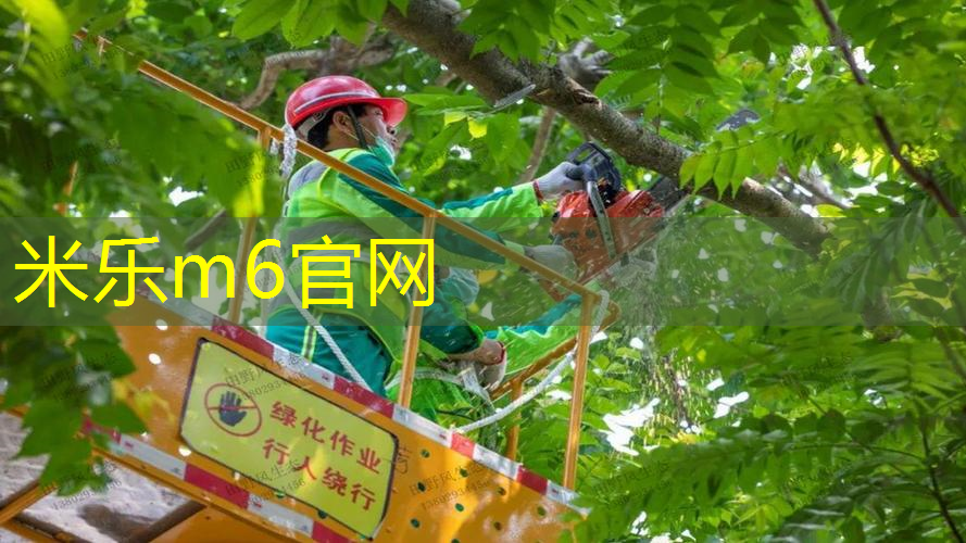 米乐：网球拍23寸长宽高多少