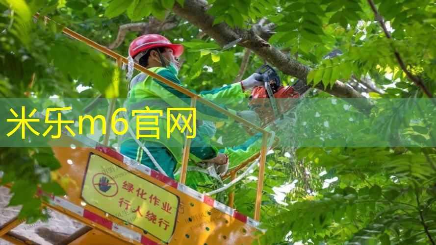 米乐：亚力亚9904网球拍