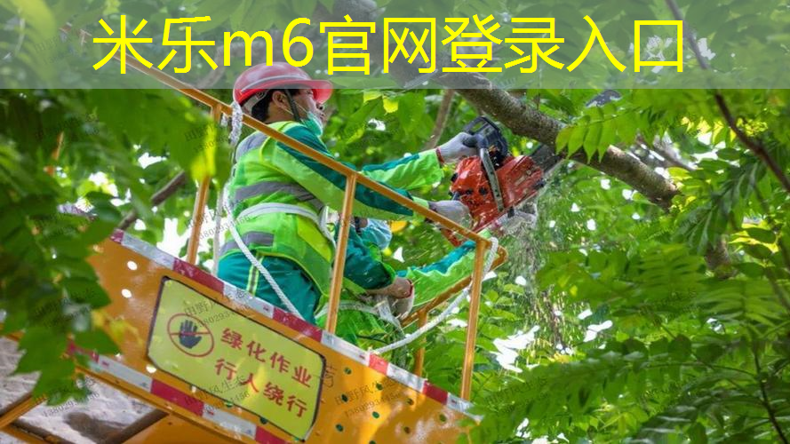 mile·米乐m6：网球拍头为什么不能向下