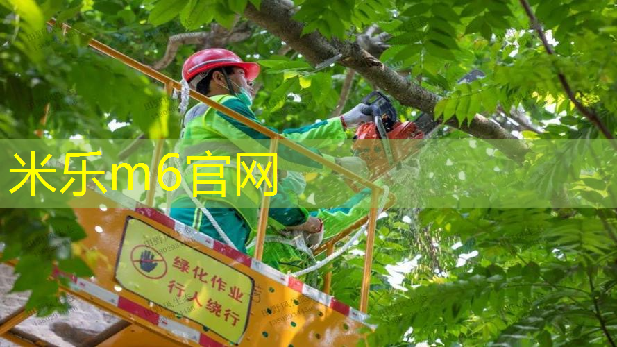 mile·米乐m6：三联式减震网球拍