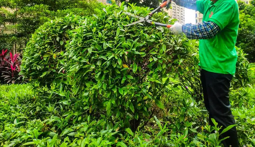mile米乐m6官网：网球拍一根线怎么接