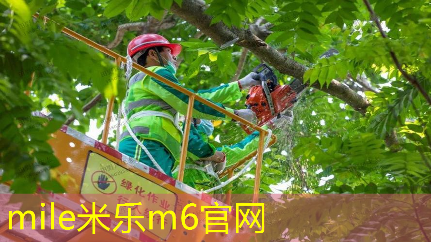 网球拍上的细线叫什么