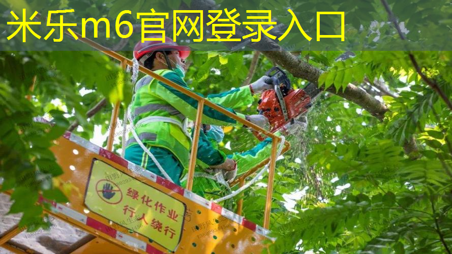 正确的那羽毛网球拍的姿势