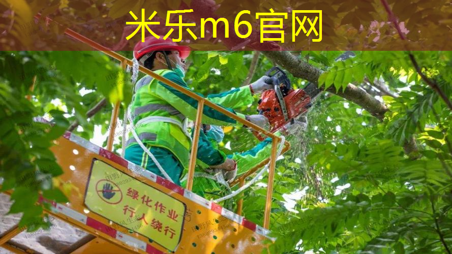奥星网球拍价格表