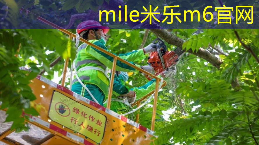 网球拍手柄脏用什么清洁