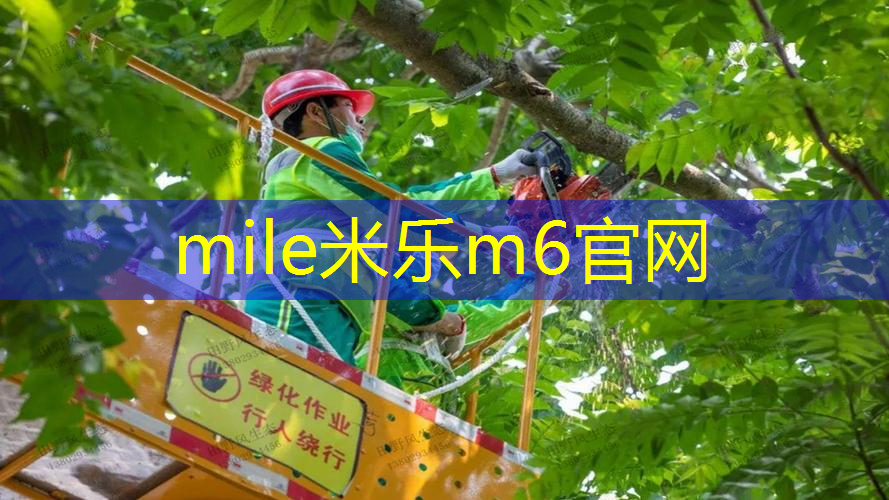 迪卡侬249网球拍