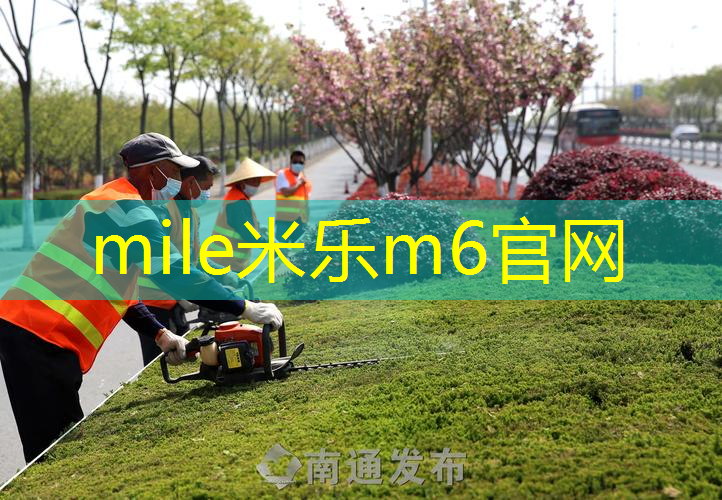 家庭普通玩的网球拍有哪些