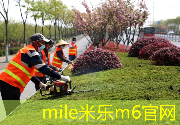 网球拍分为哪几部分组成