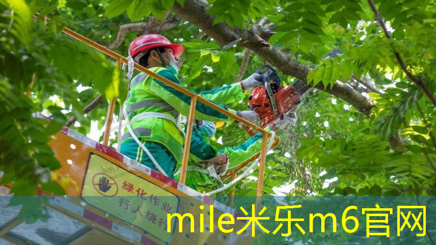 网球拍23寸长宽高多少