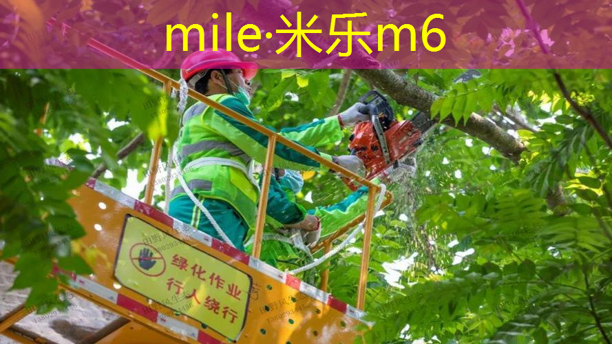 亚力亚9904网球拍