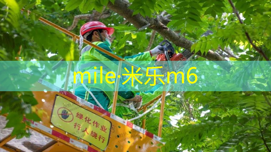 网球拍头为什么不能向下