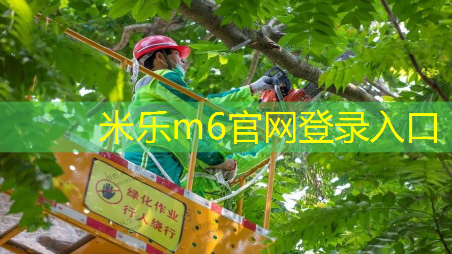 三联式减震网球拍
