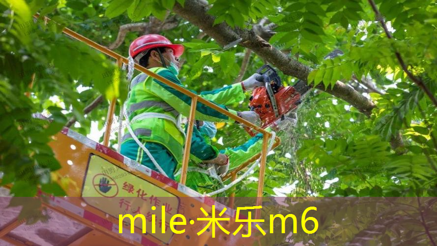 网球拍初学者套装成人